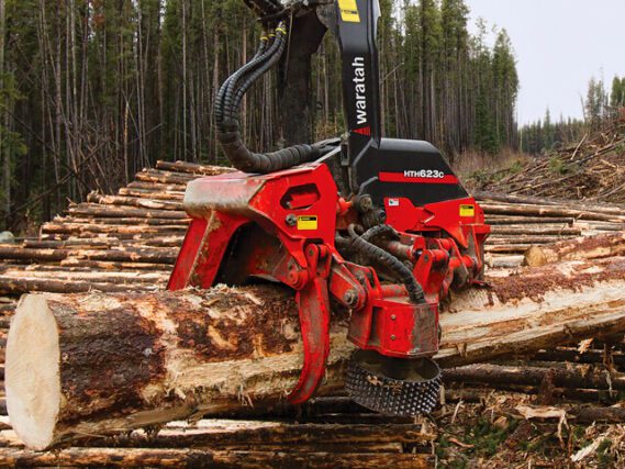 Cabeçote harvester: HTH623C