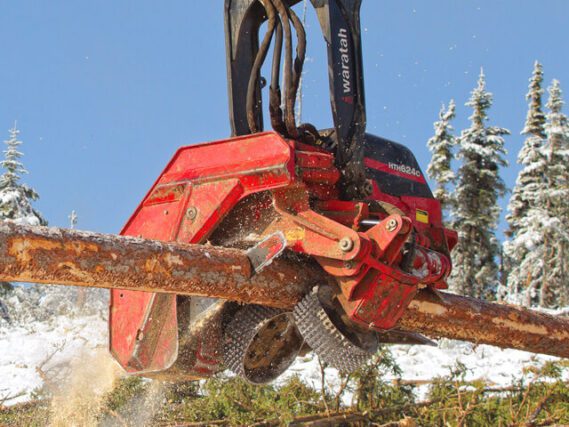 Cabeçote harvester: HTH624C