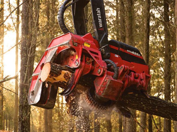 Cabeçote harvester: HTH625C