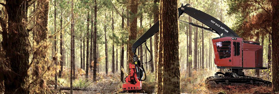Harvester and Forwarder Cranes