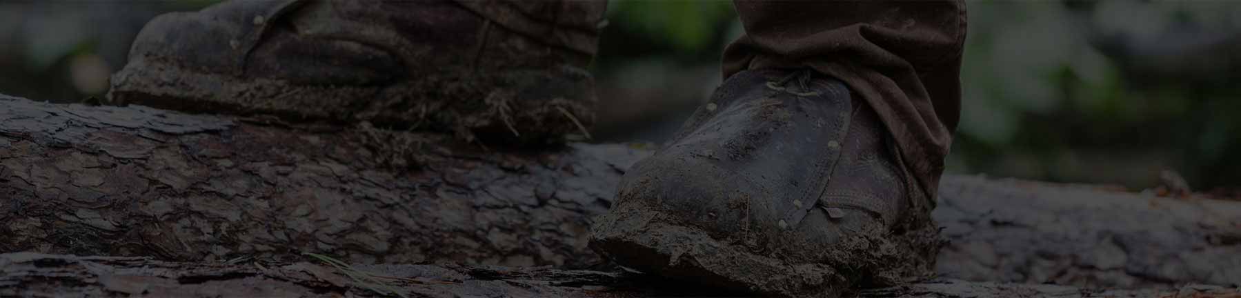 Waratah - Foresty Products - Built to Work.