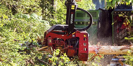 HTH622B Series-IIIハーベスタヘッドによる木材切断