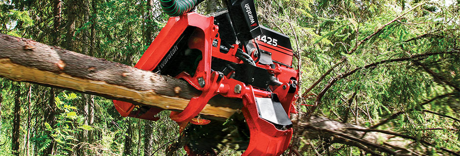 H425