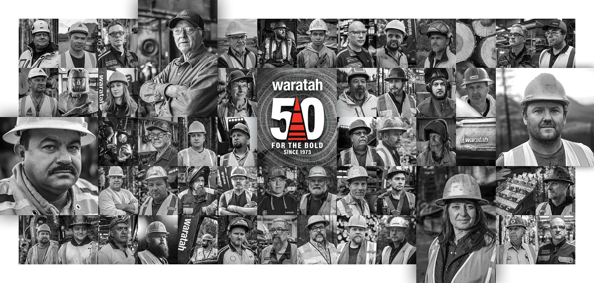 Waratah 50th Anniversary Faces