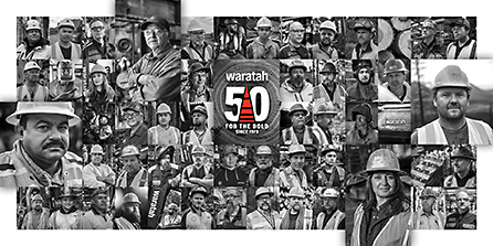 Waratah - 50 - For the Bold - Since 1973