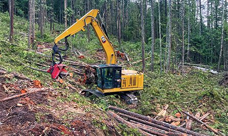 Cabeçote Waratah trabalhando na mitigação de incêndios florestais