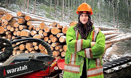 Processamento do cabeçote Waratah em um local de extração de madeira