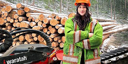 Bearbetning med Waratah-aggregat på en avverkningsplats