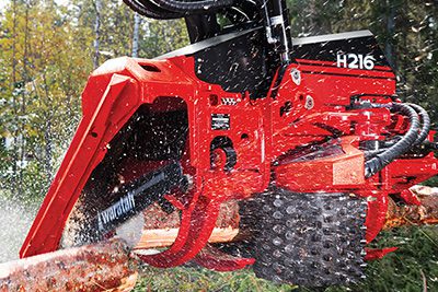 Waratah H216 -harvesteripää leikkaa puuta