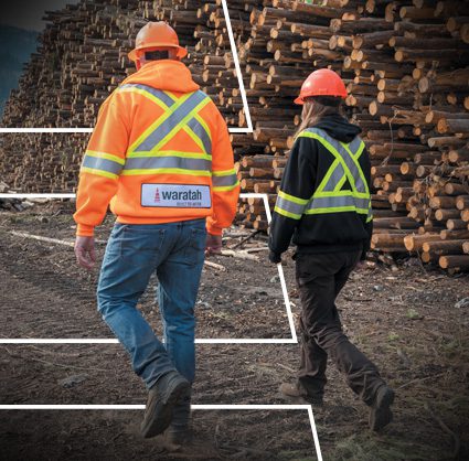 workers at logging jobsite