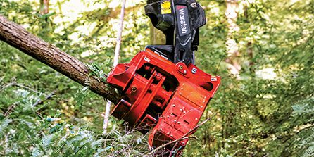 FL90 felling head processing a log